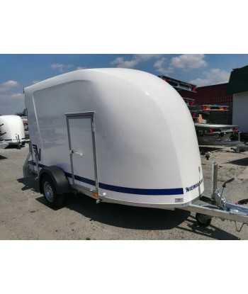 Furgoneta de poliéster...